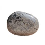 Jaspe Feuille d'Argent galet pierre plate (3  4 cm)
