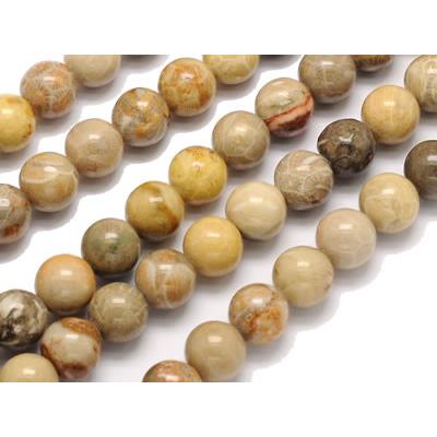 Jaspe Chrysanthème Perle Ronde Lisse Percée 10 mm (Lot de 5 perles)