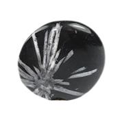 Chrysanthème Stone galet pierre plate (3 à 4 cm)