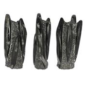 Orthoceras colonne de 2 kilos 5 spécimens (Pièce unique 16032869)