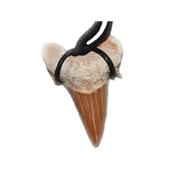 Pendentif Dent de Requin