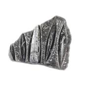 Orthoceras fossile plaque de 990 grammes 5 spécimens (Pièce unique 15112504)