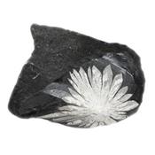 Chrysanthème Stone pierre brute (150 à 200 grammes)