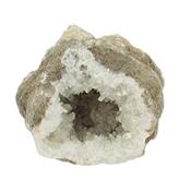 Géode de Calcite Pierre de Collection de 2,6 kilos (MBGCAL01041701) et Orthoceras 14 à 20 cm offert