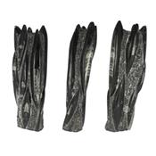 Orthoceras colonne de 3 kilos 12 spécimens (Pièce unique 16032805)