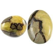 Septaria Gros galet pierre roulée (50 à 75 grammes)