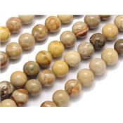 Jaspe Chrysanthème Perle Ronde Lisse Percée 10 mm (Lot de 5 perles)