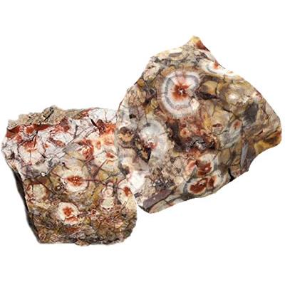 Jaspe à Ocelles pierre brute (Sachet de 350 grammes - 3 Pierres naturelles)
