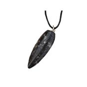 Orthoceras fossile en pendentif
