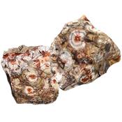 Jaspe à Ocelles pierre brute (Sachet de 350 grammes - 3 Pierres naturelles)