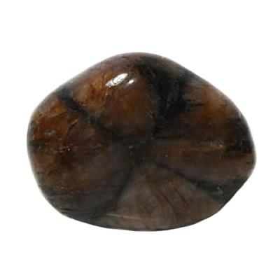 Chiastolite galet pierre roulée (2 à 2,5 cm)